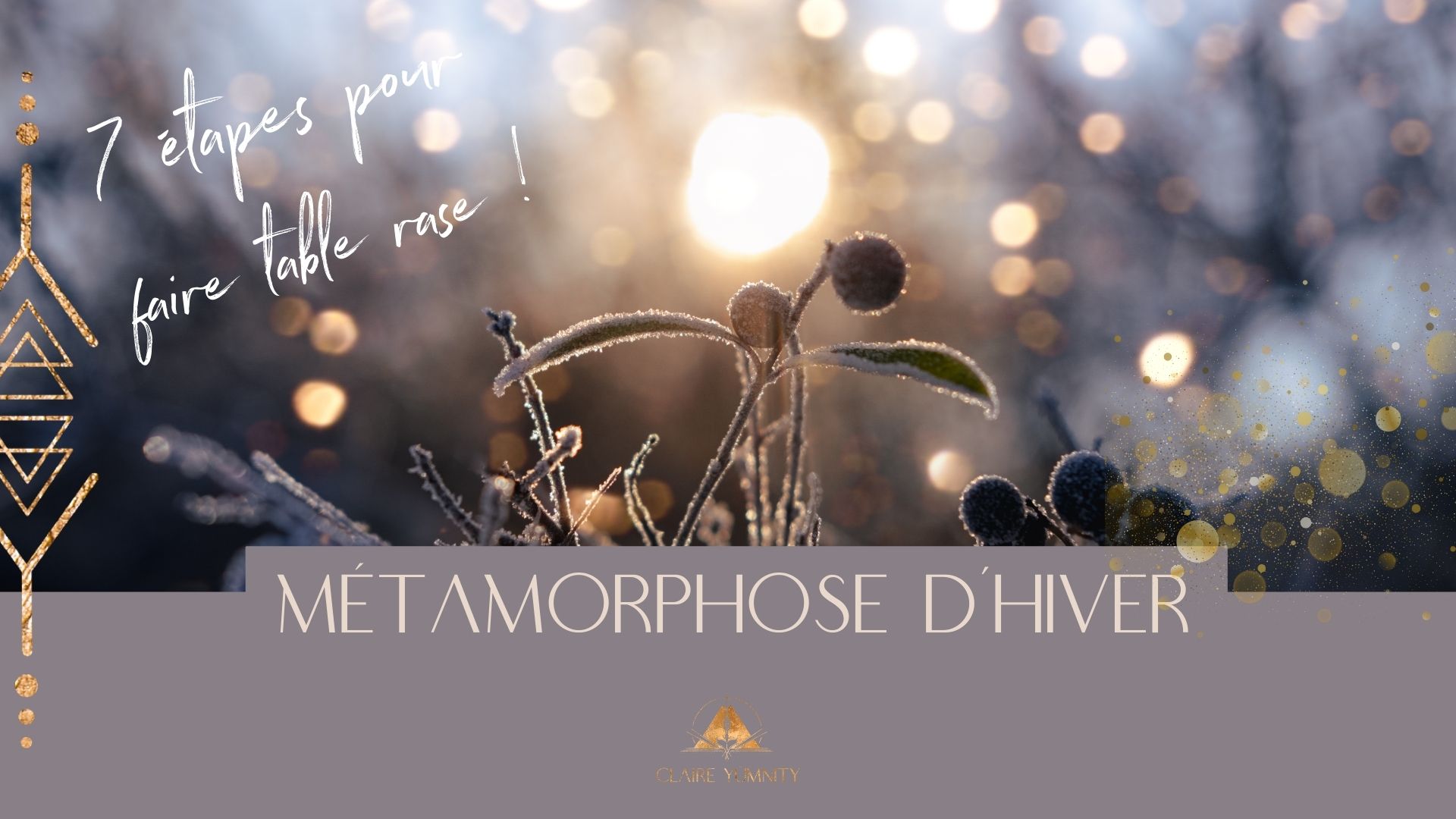 metamorphose d hiver